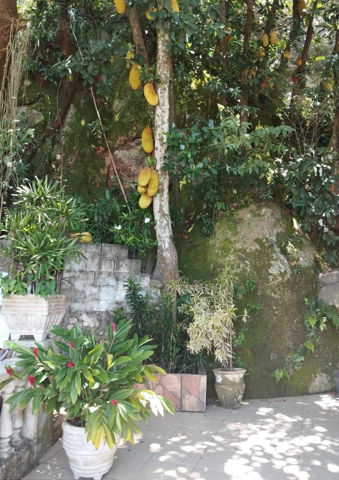 Casa Das Luzes Hostel Ivn Rio de Janeiro Exterior foto